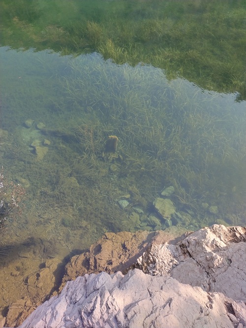 clean fresh water spring somewhere in margalla hills islamabad